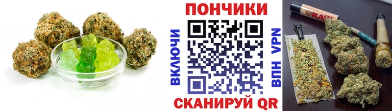 Canna-Cookies конопля  цены   Высоковск 
