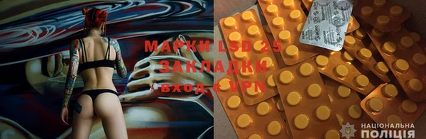 ГАЛЛЮЦИНОГЕННЫЕ ГРИБЫ Белокуриха