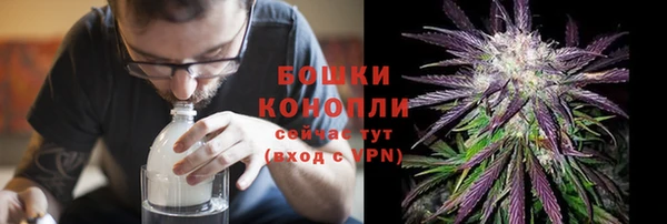 ГАЛЛЮЦИНОГЕННЫЕ ГРИБЫ Белокуриха