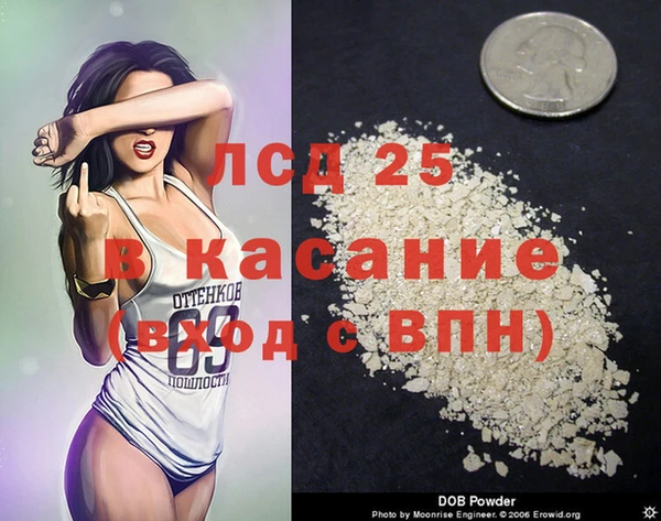 ГАЛЛЮЦИНОГЕННЫЕ ГРИБЫ Белокуриха