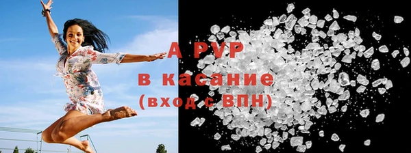 ГАЛЛЮЦИНОГЕННЫЕ ГРИБЫ Белокуриха