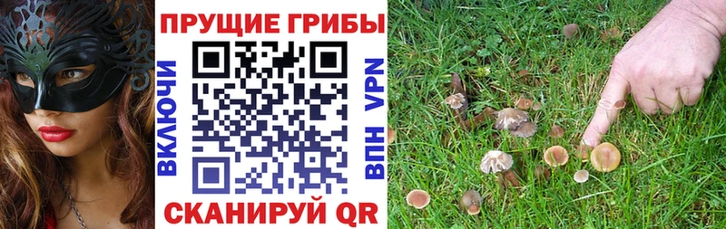 Псилоцибиновые грибы мухоморы  Высоковск 